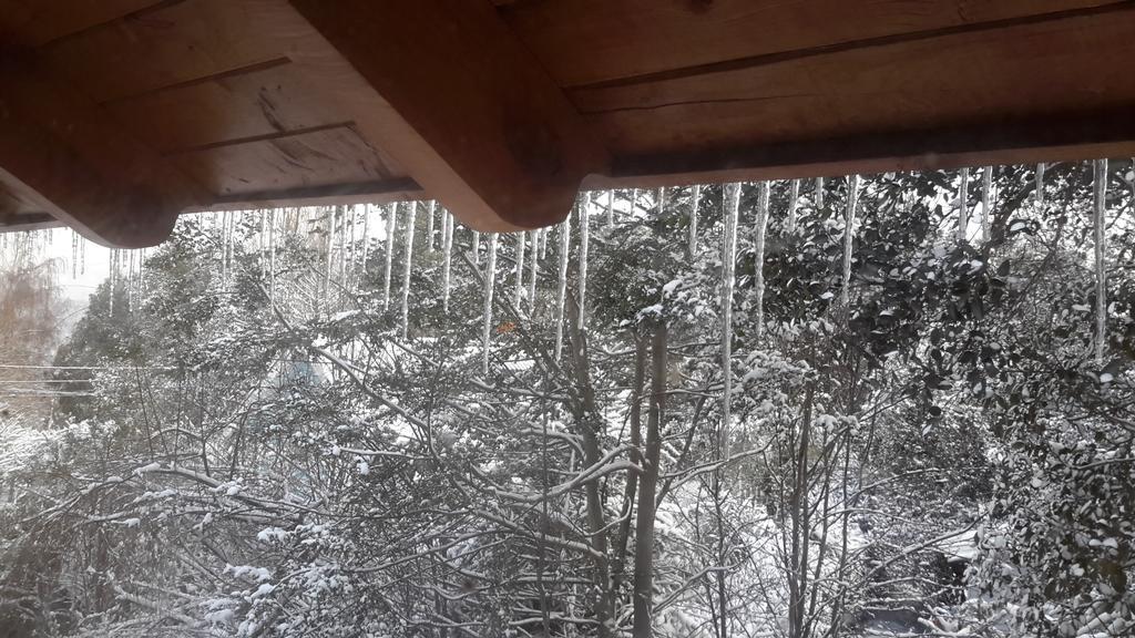 Apart De La Plaza Villa La Angostura Zewnętrze zdjęcie