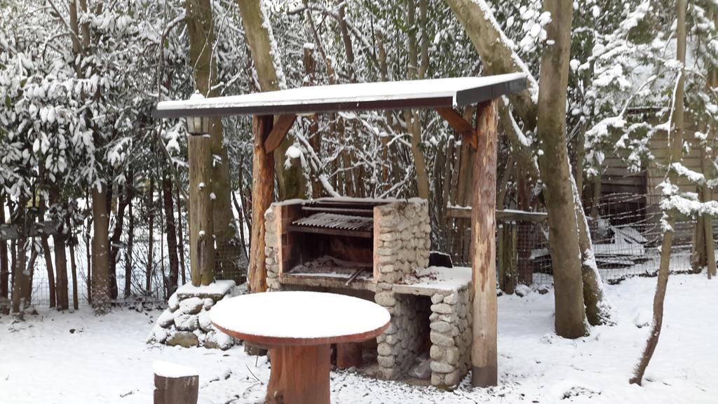 Apart De La Plaza Villa La Angostura Zewnętrze zdjęcie